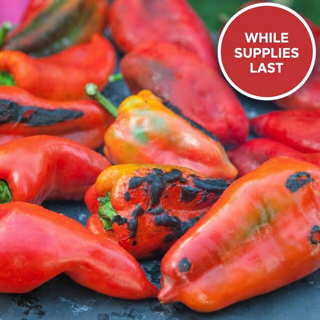 Fire-roasted Ontario Shepherd peppers with charred skin, fresh seasonal peppers available while supplies last.